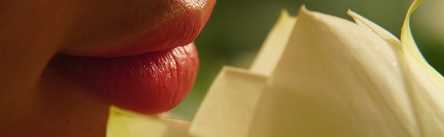 labial - IP | CR Diario