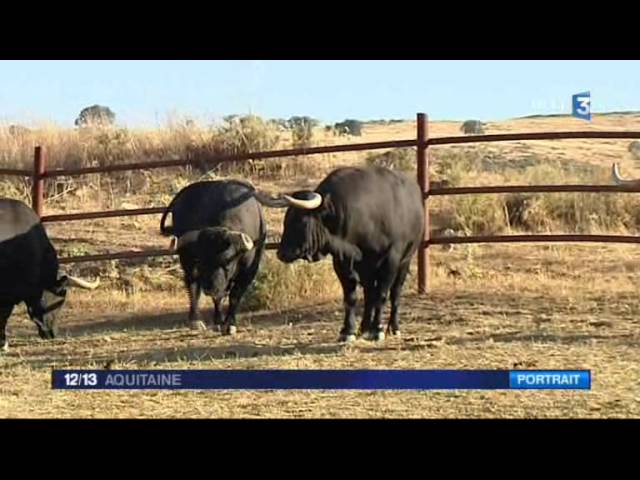 Manzanares | CR Diario