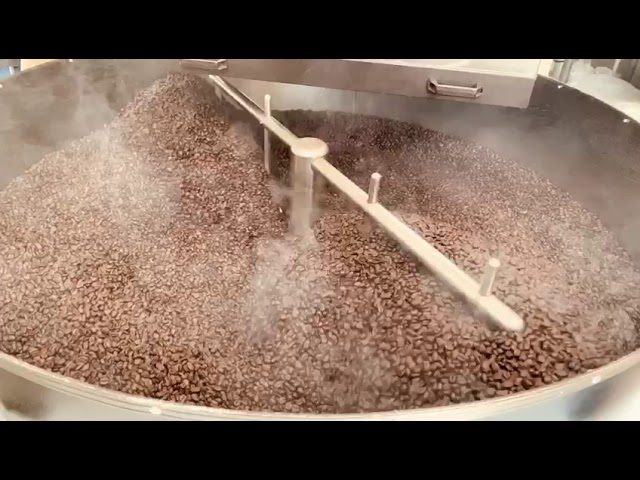 Explorando los Aromas de la Montaña: Descubre la Flora Aromática de la Sierra