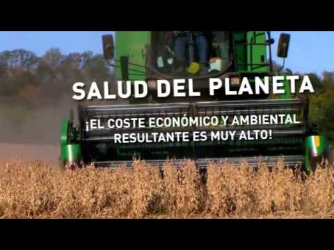 Cómo la alimentación influye en la sostenibilidad y el medio ambiente