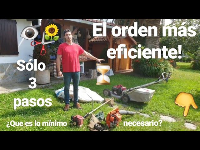 Domina la Crianza de Plantas: Guía de Jardinería para Hombres para un Jardín Impresionante