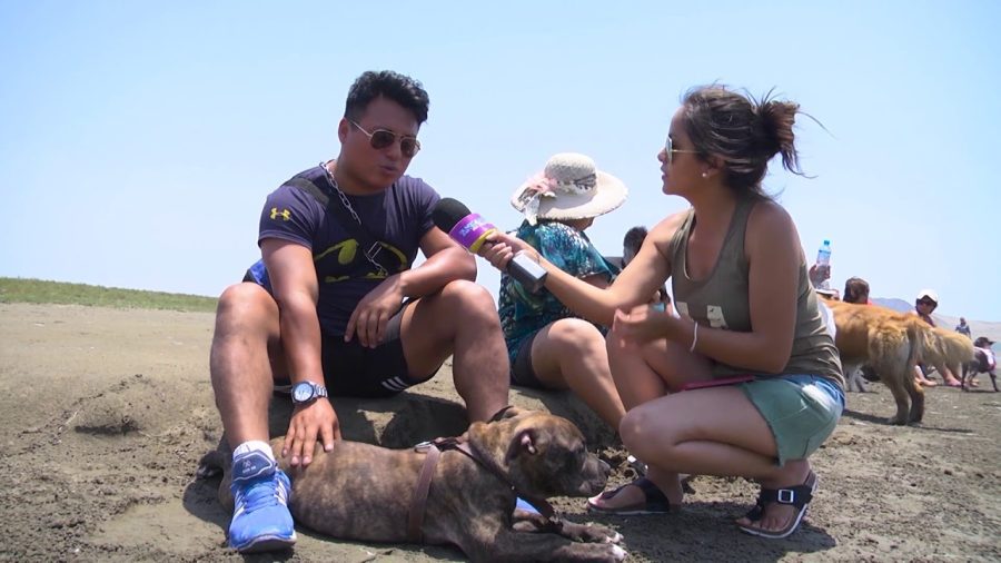 De-paseo-con-perros-La-Sierra-como-el-paraiso-de-las-mascotas | CR Diario