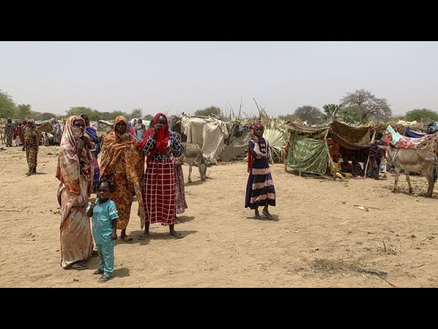 El-Movimiento-por-los-Derechos-de-los-Refugiados-Crisis-Humanitaria-Global | CR Diario
