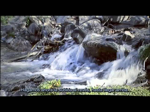 Explora los Tesoros Naturales de la Sierra: Descubre los Parques Nacionales más Impresionantes