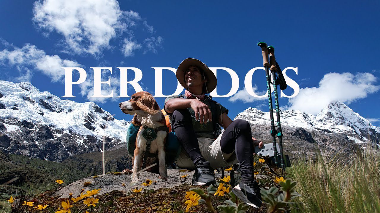 Descubre las Mejores Aventuras de Senderismo con Perros en la Sierra: Guía para Disfrutar al Máximo