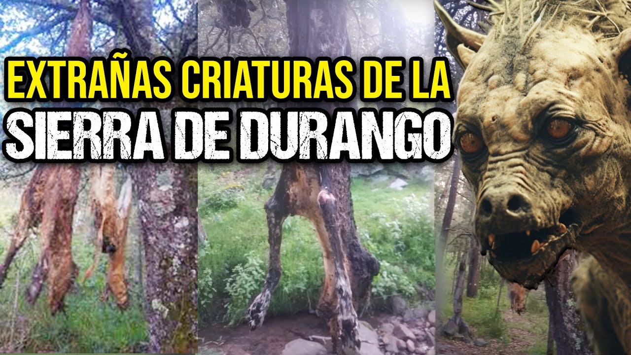 Descubre las Criaturas Misteriosas de la Sierra: Avistamientos y Leyendas Revelados