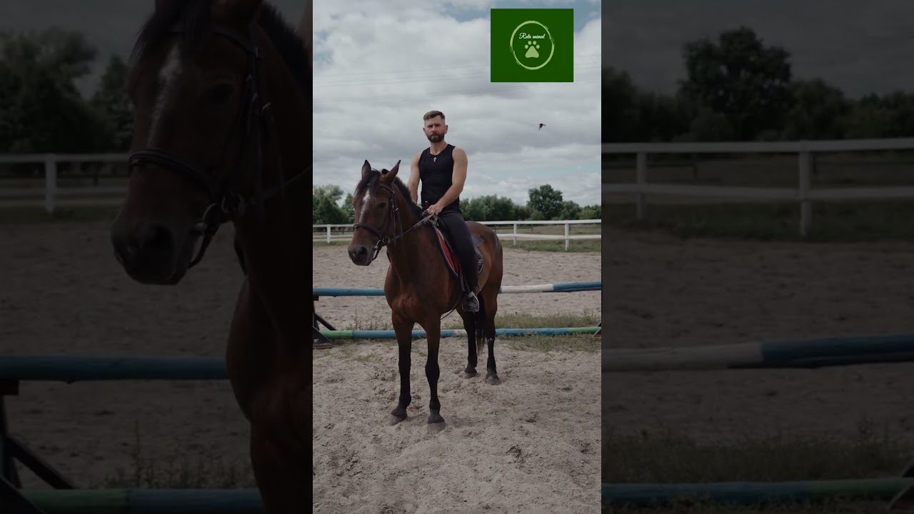 Descubre la Sierra a caballo: Vive una experiencia equina inolvidable