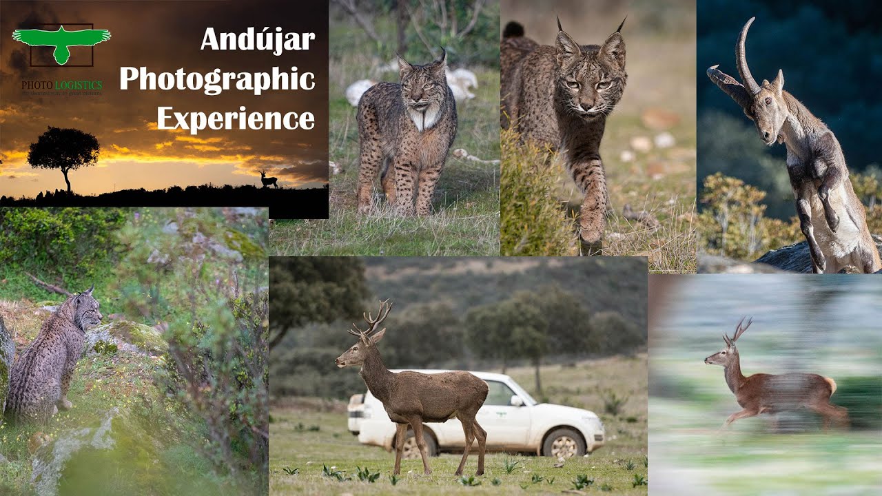 Descubre las mejores escapadas fotográficas para capturar instantáneas impresionantes en la Sierra