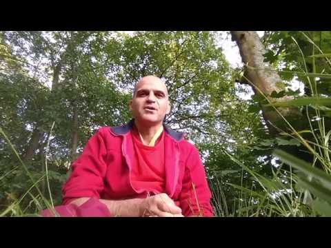 Descubre la serenidad en la naturaleza: Sierra Zen, retiros de meditación para rejuvenecer cuerpo y mente