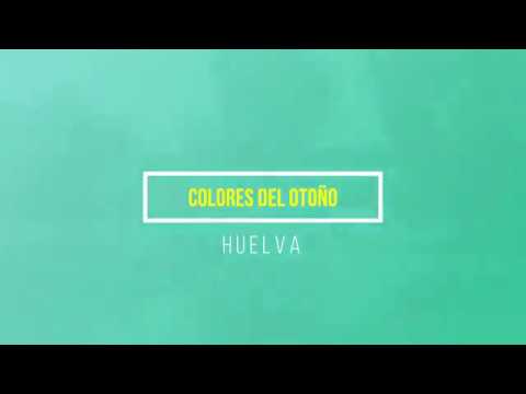 Explorando la Sierra en Colores Otoñales: Un Banquete Visual de Tonalidades