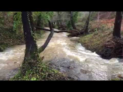 Descubre la Magia de las Travesías en Riachuelos: Explorando los Arroyos de la Sierra