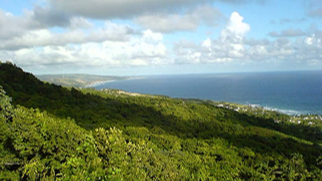 Todo lo que necesitas saber para opositar en Barbados: Requisitos, procedimientos y consejos