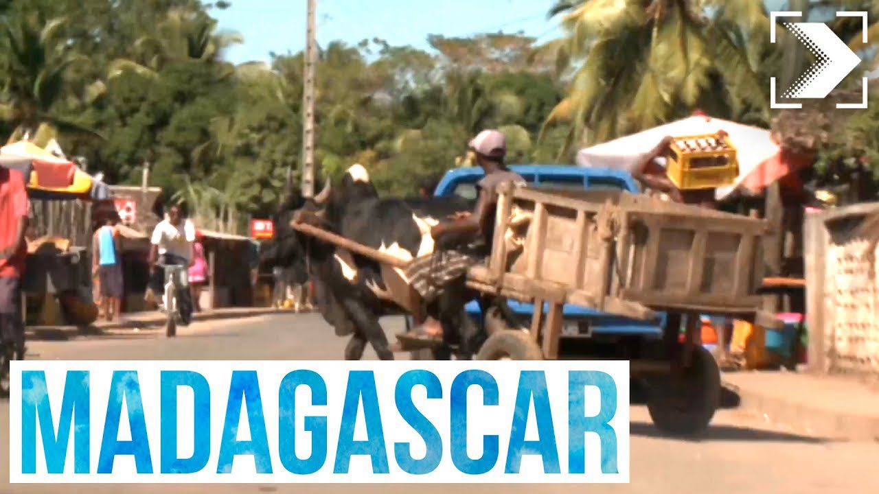 Descubre todo lo que necesitas saber para vivir en Madagascar: guía completa