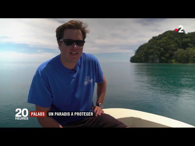 Descubre todo sobre la vida en Palaos: Guía completa para vivir en este paraíso tropical