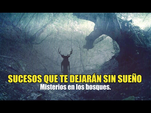 Descubre los Bosques Encantados de la Sierra: Explora sus Rincones Mágicos