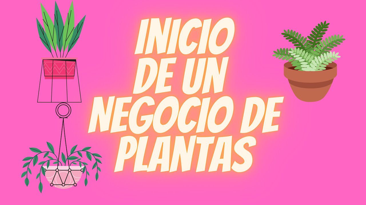 Descubre cómo iniciar tu propio jardín con la crianza responsable de plantas