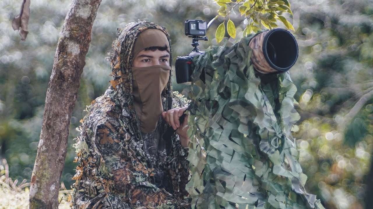 Descubre cómo capturar momentos únicos en la vida salvaje de la Sierra: Fotografía en su máxima expresión