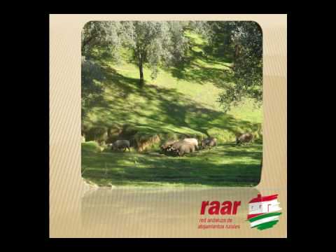 Sierra-de-Ensueno-Alojamientos-Rurales-con-Encanto | CR Diario