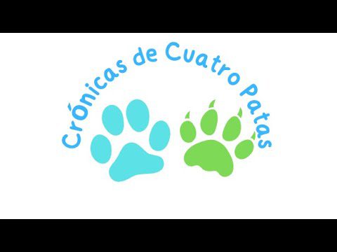 Sierra en Cuatro Patas: Aventuras con Amigos Peludos | Descubre las Mejores Experiencias al Aire Libre