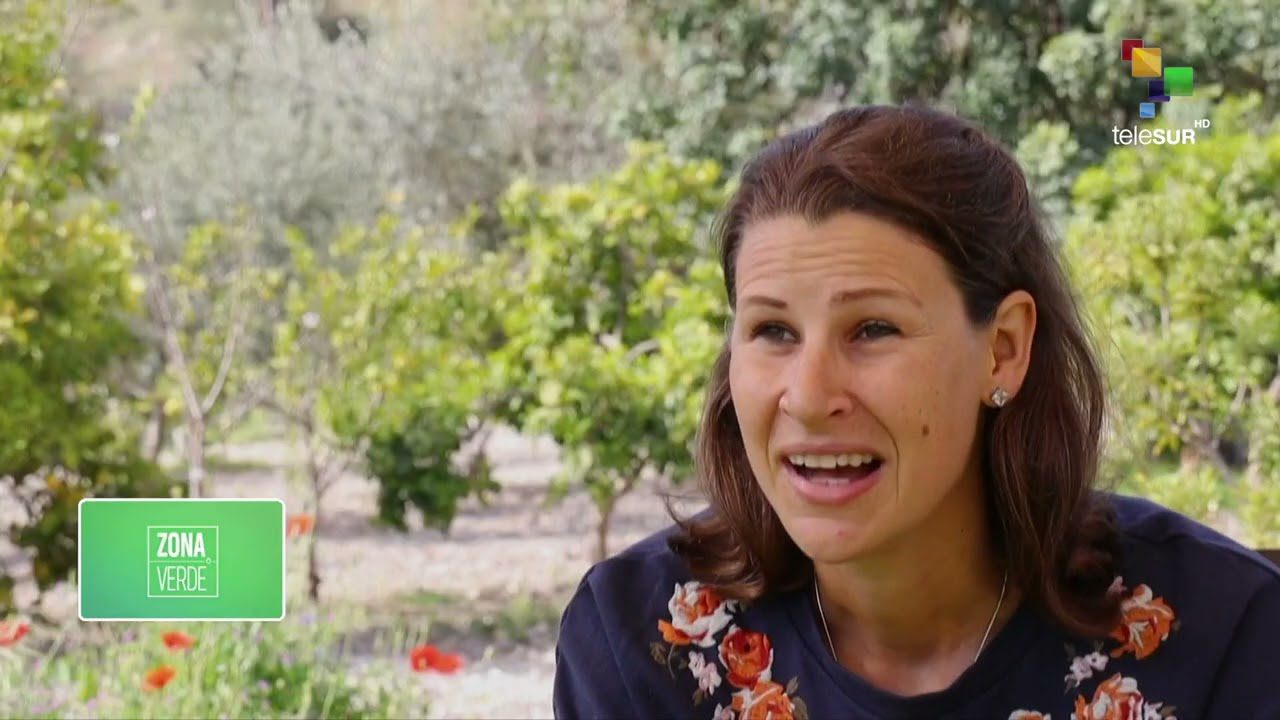 Descubre las Mejores Iniciativas de Conservación y Ecoturismo en la Sierra en Verde