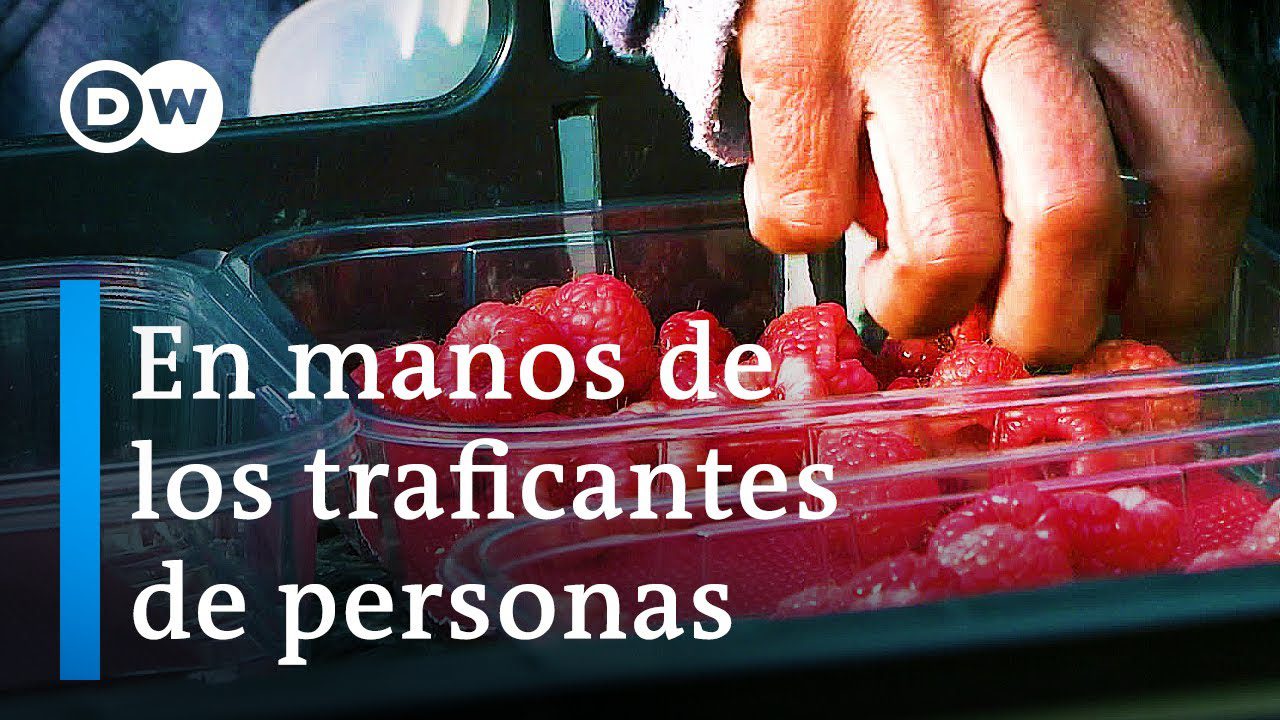 Sueños realizados: Descubre las inspiradoras historias de inmigrantes exitosos en Portugal