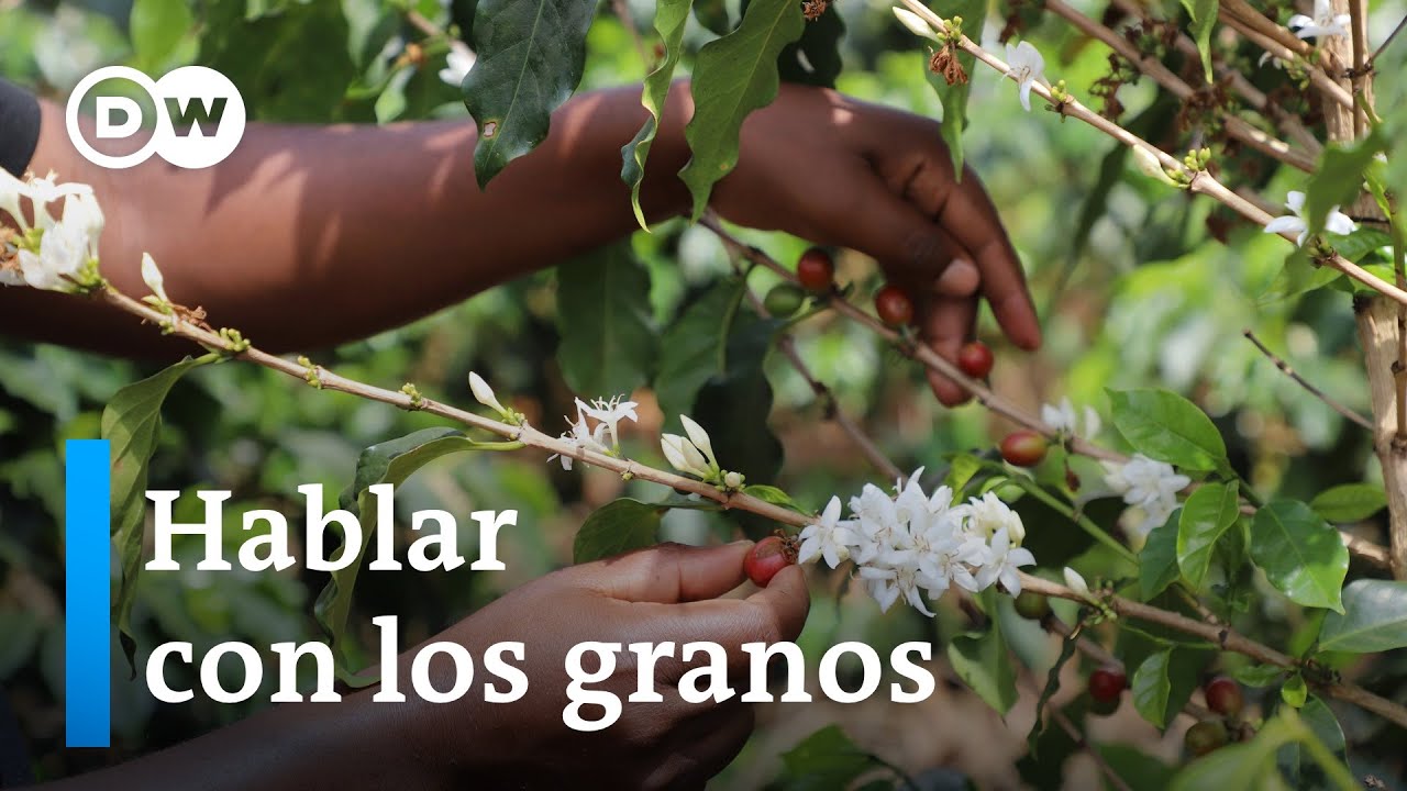 Como-la-inteligencia-artificial-esta-transformando-la-gestion-de-recursos-naturales-en-la-agricultura-2 | CR Diario