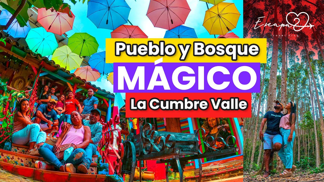 Explora Rutas Descendentes: De la Cumbre al Bosque para Aventureros