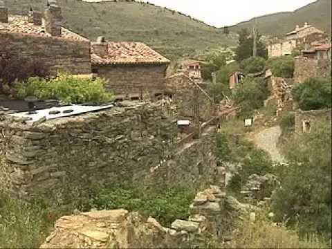 Sierra de Madrid en Miniatura: Explora los Increíbles Microcosmos Naturales