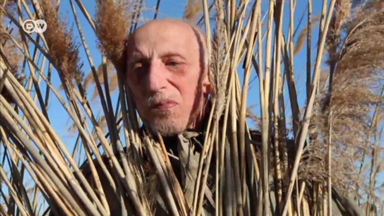 Descubre la Belleza de la Sierra Madrileña a Través de la Fotografía Escénica