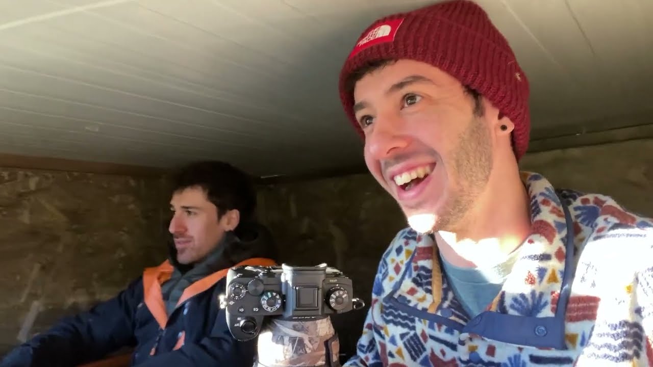 Descubre la Fauna Silvestre de la Sierra: Fotografía de Vida Salvaje en su Esplendor