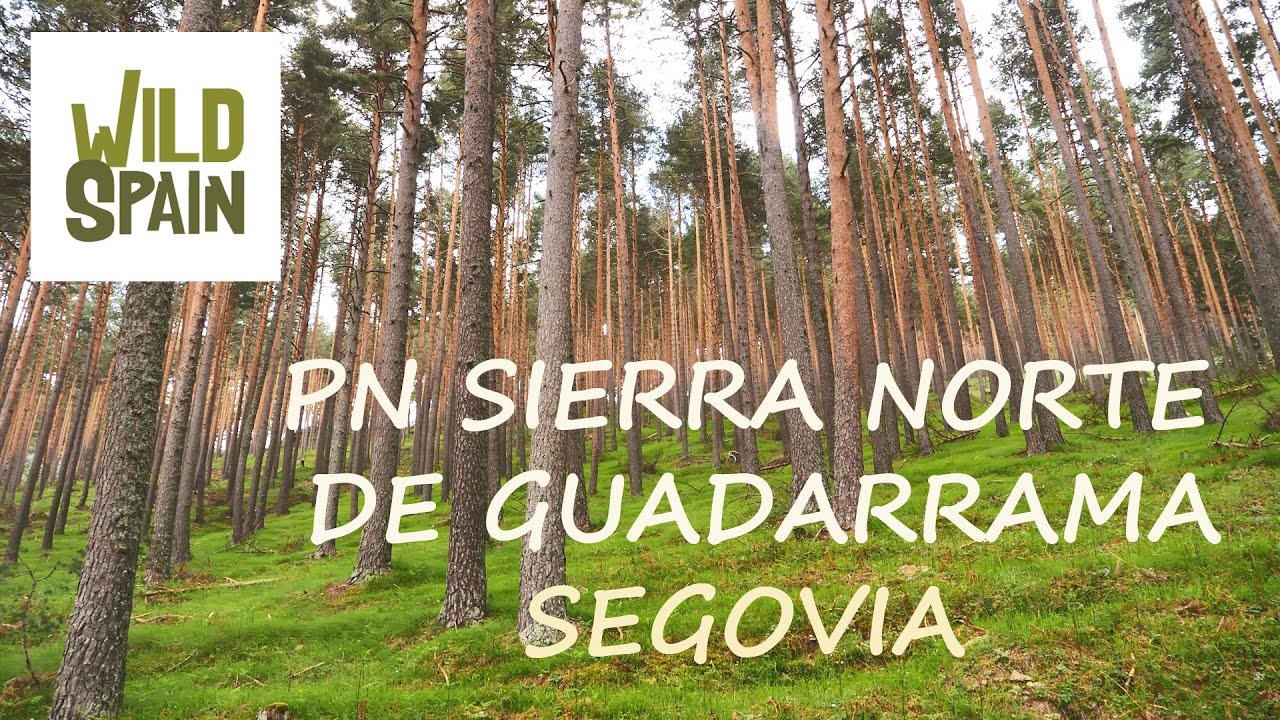 Descubre las Maravillas Ecológicas de la Sierra Madrileña: Parques Naturales que Debes Visitar