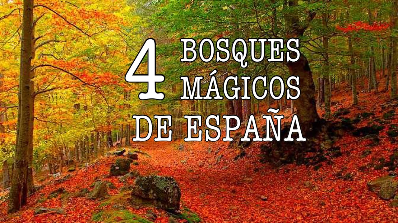 Senderismo-Nocturno-en-Otono-Disfruta-de-los-Bosques-Iluminados | CR Diario