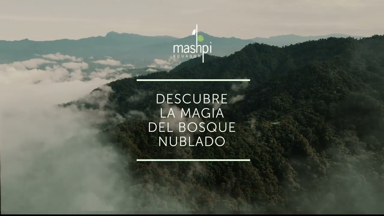 Sierra de Madrid de Noche: Explora la Belleza del Bosque Iluminado