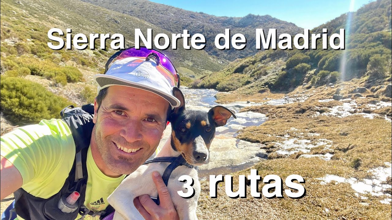 Descubre la belleza de la Sierra Madrileña en otoño con sus deslumbrantes tonos dorados