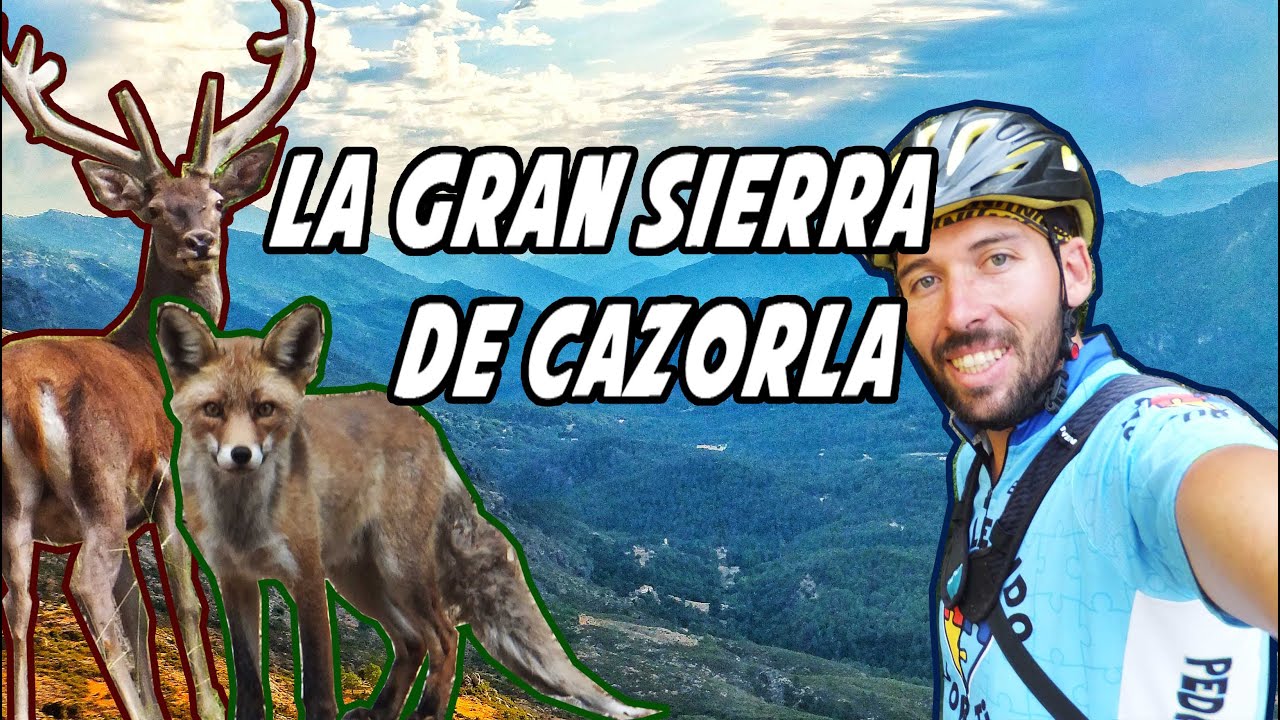 Sierra de Granada en Dos Ruedas: Cicloturismo por Parajes Únicos