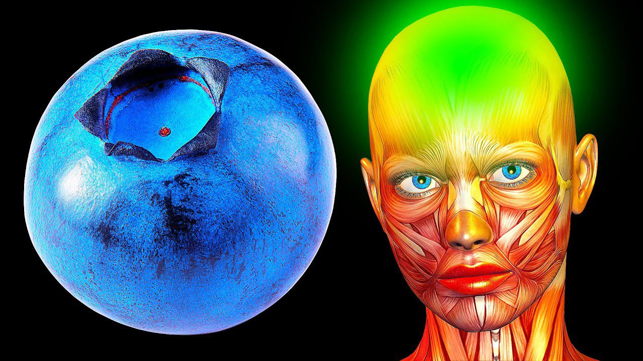 Gimnasia cerebral: Ejercicios para mantener tu mente aguda