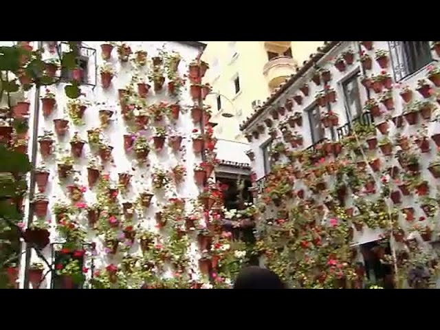 La-Fiesta-de-los-Patios-en-Cordoba-Flores-y-Belleza | CR Diario La Fiesta de los Patios en Córdoba: Flores y Belleza