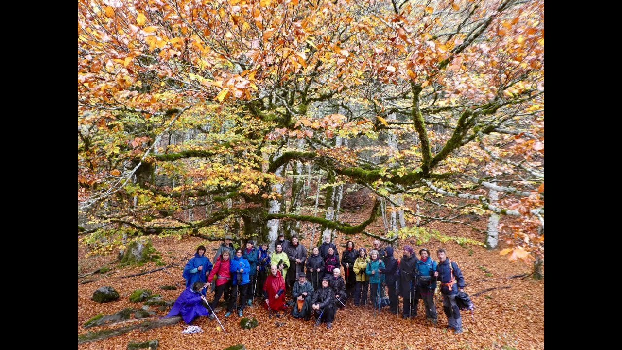 Sierra Granadina en Verde: Rutas de Ecoturismo y Sostenibilidad