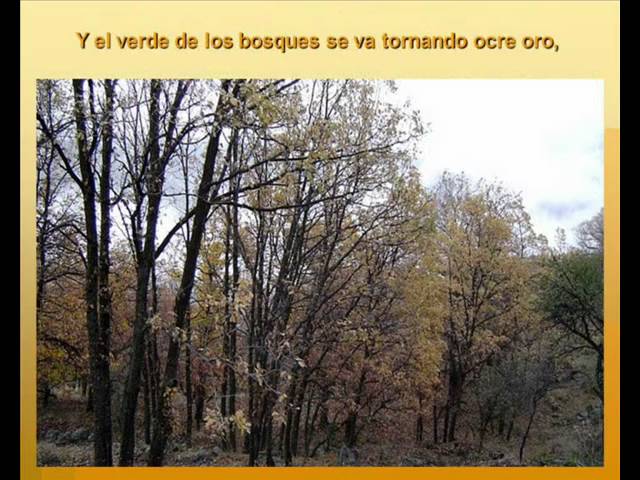 Sierra de Granada en Otoño: Colores Cálidos y Bosques Dorados
