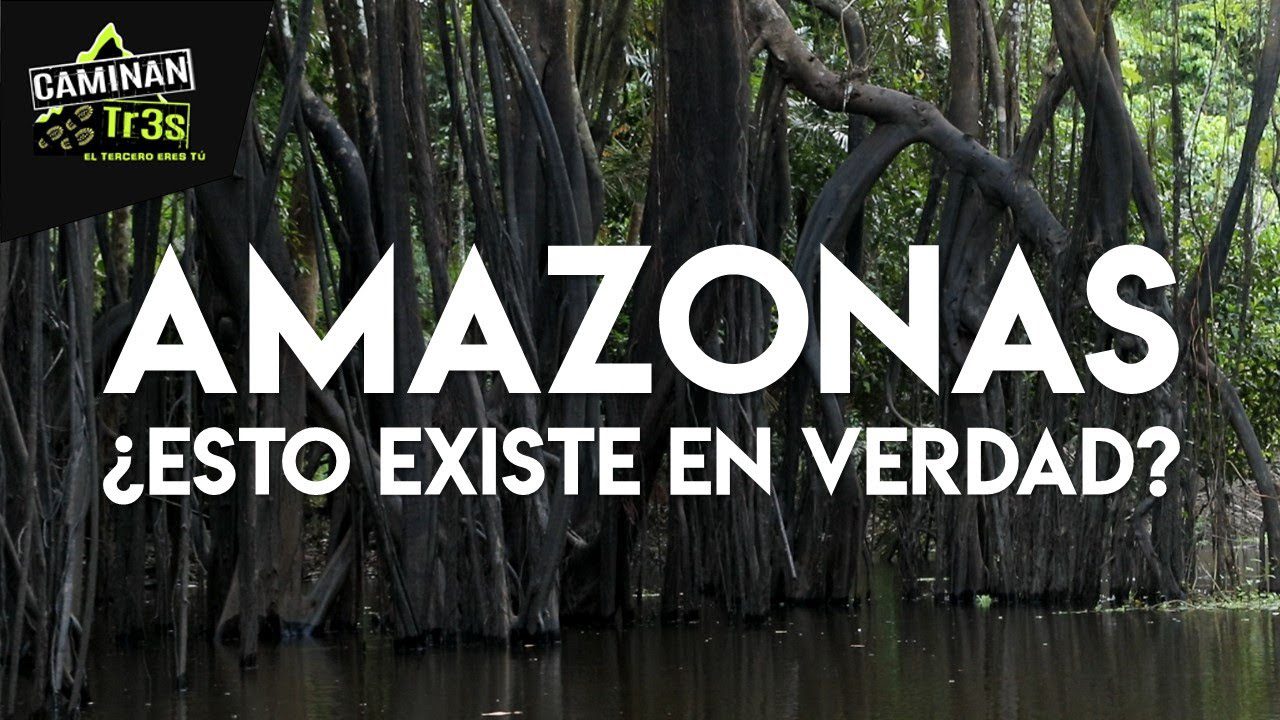 Descubre tu lado salvaje: Las mejores excursiones en la naturaleza para hombres