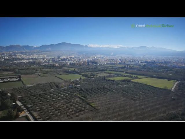 Gastronomía con Productos Locales: Mercados de la Sierra de Granada