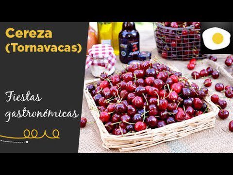 La Fiesta de la Cereza en Jerte: Naturaleza y Tradición