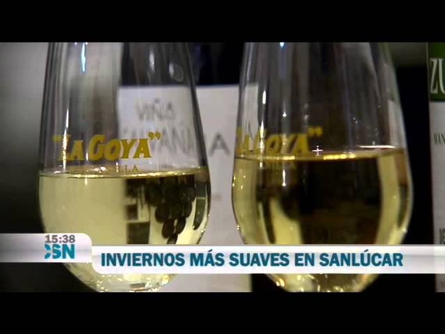 La Fiesta de la Manzanilla en Sanlúcar de Barrameda: Vino y Tradición