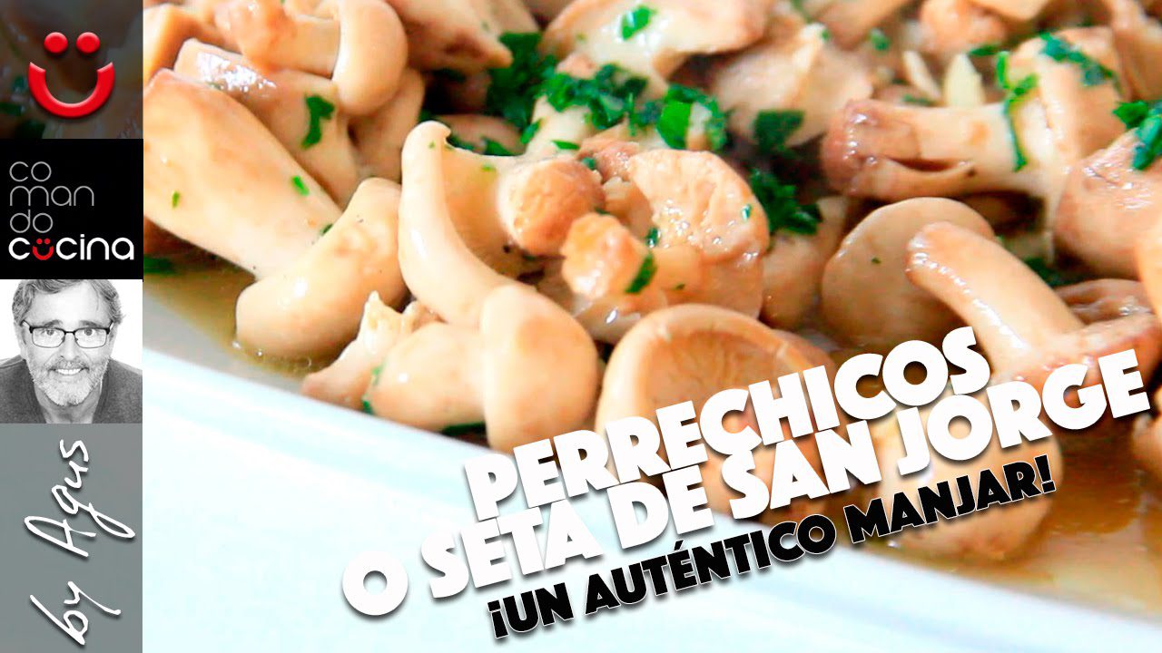 La Fiesta de la Seta en Pina de Montalgrao: Naturaleza y Gastronomía