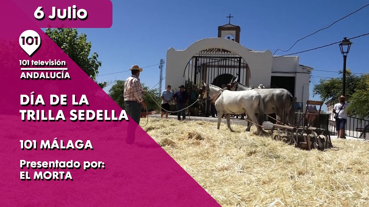 La Fiesta de la Trilla en Albacete: Tradición Agrícola