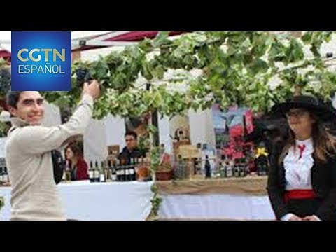 La-Fiesta-de-la-Vendimia-en-Rueda-Tradicion-y-Vino | CR Diario La Fiesta de la Vendimia en Rueda: Tradición y Vino