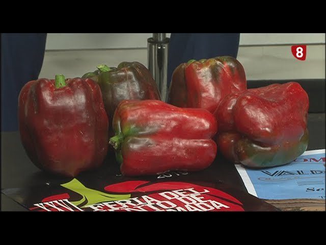 La Fiesta del Pimiento en Piquera de San Esteban: Tradición y Agricultura