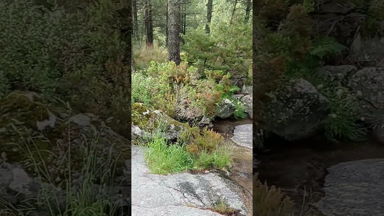 Descubre los Senderos Místicos: Lugares Sagrados y Energéticos de la Sierra que te Conectarán con tu Espíritu