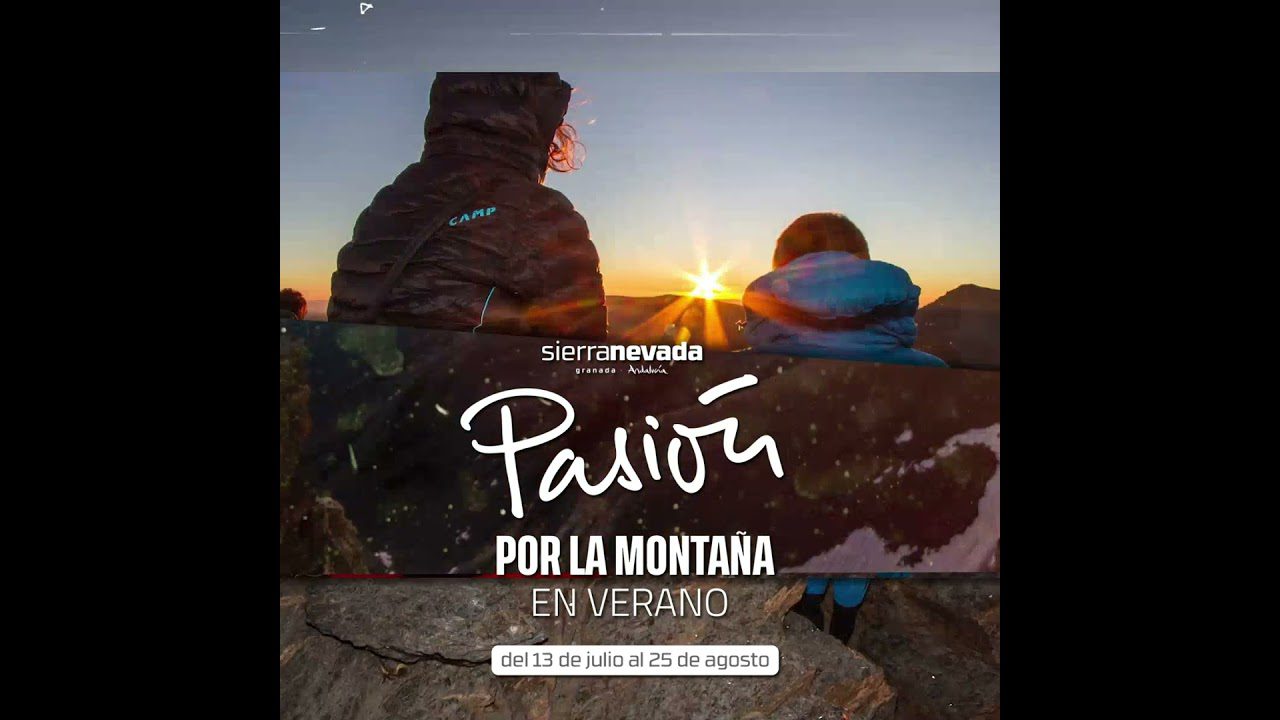 Sierra de Granada de Noche: Sumérgete en la Magia del Bosque Iluminado