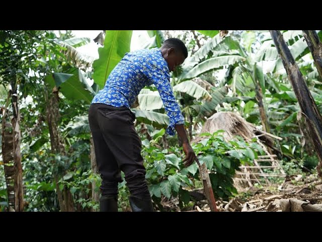 Guía completa para opositar en Uganda: Consejos, requisitos y pasos a seguir